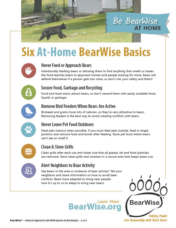 Bearwise at Home Tips