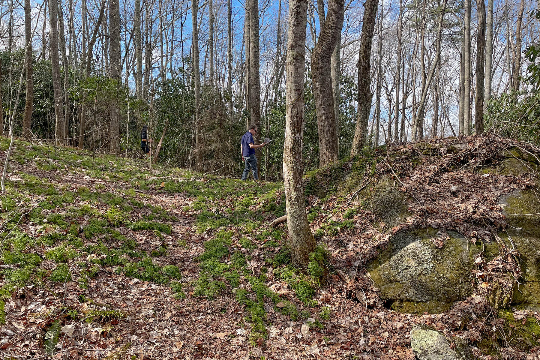 Fairview Drovers Road Site 2